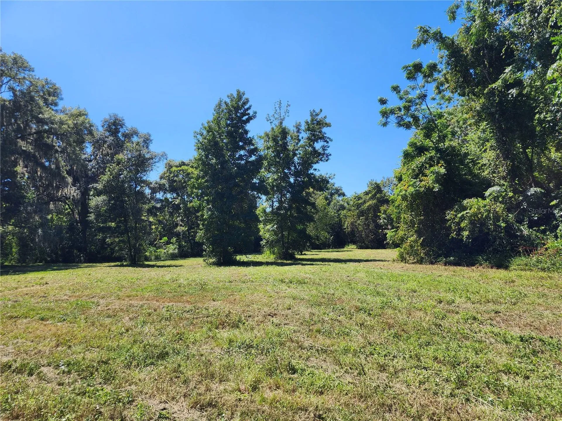 7670 NW 137th Avenue Morriston FL 32668