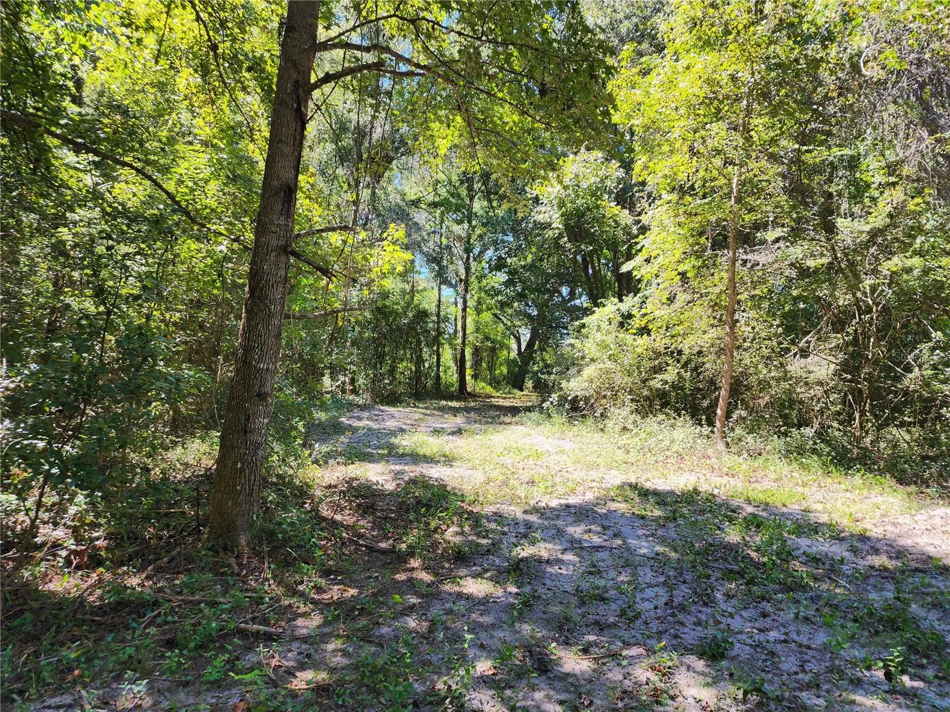 7670 NW 137th Avenue Morriston FL 32668