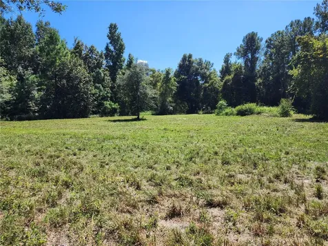 7670 NW 137th Avenue Morriston FL 32668