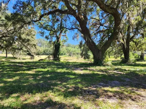 7670 NW 137th Avenue Morriston FL 32668