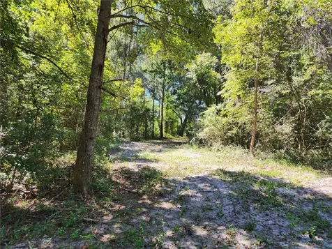 7670 NW 137th Avenue Morriston FL 32668