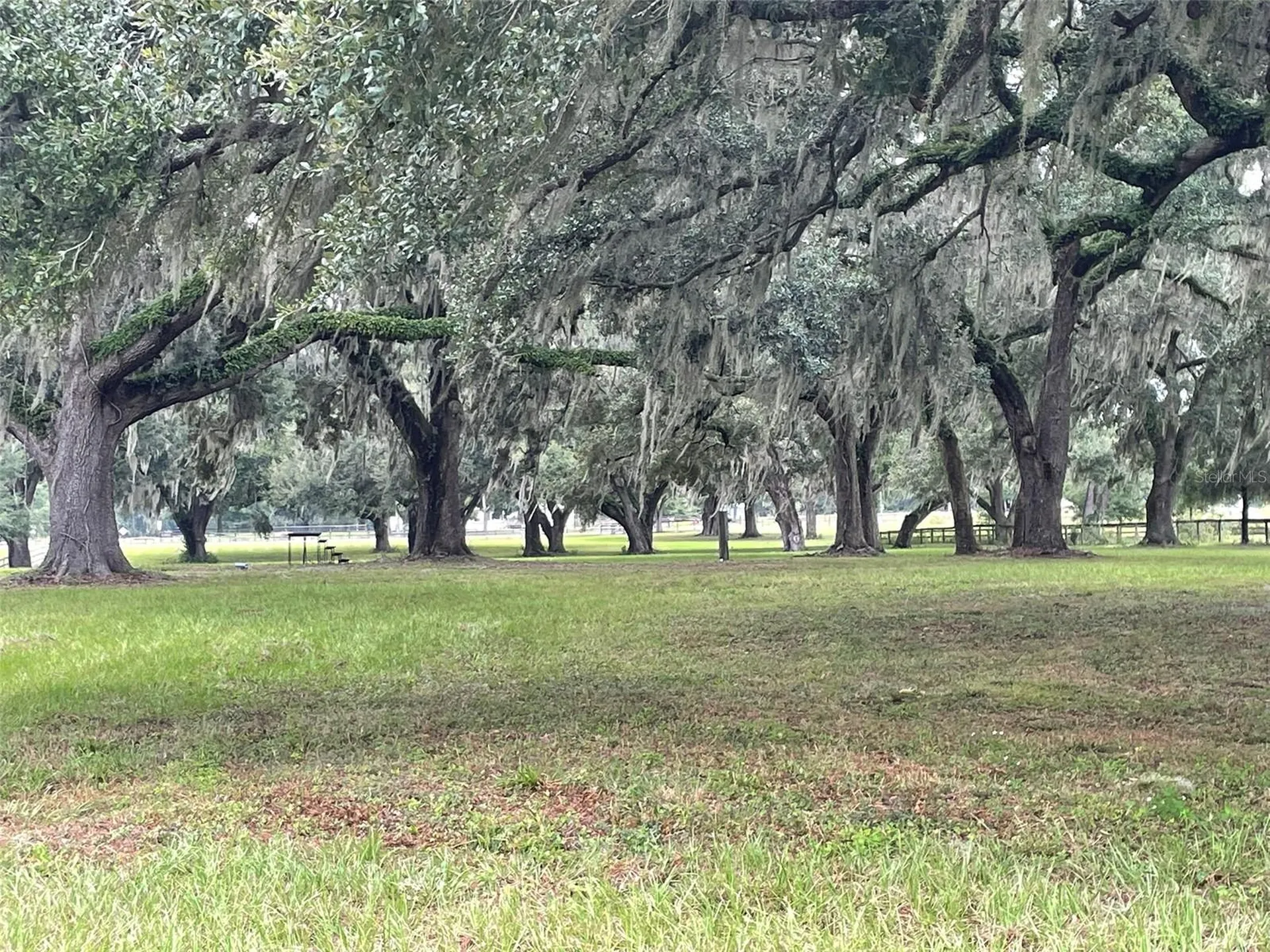 1851 SE 185 Avenue Williston FL 32696