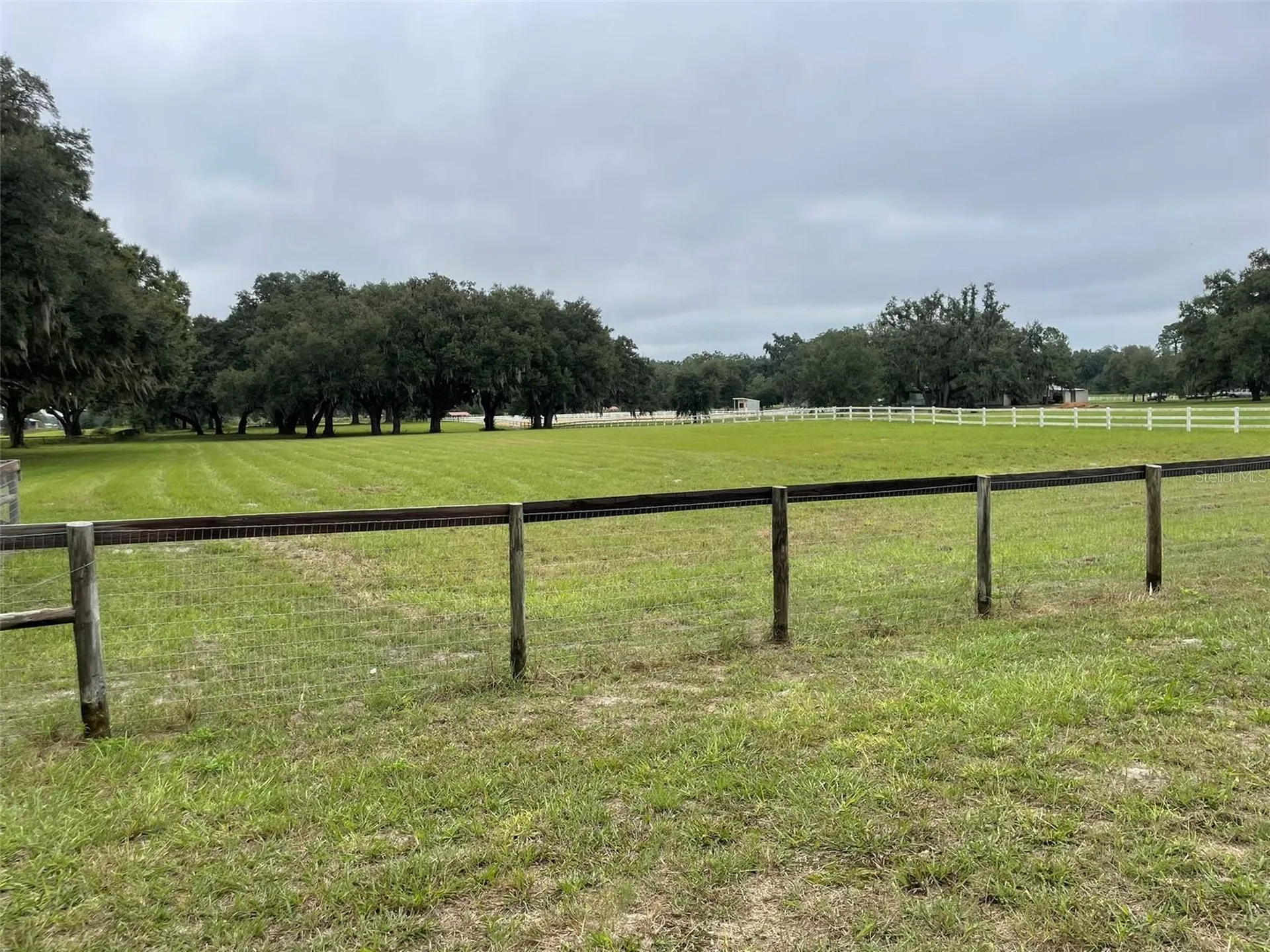 1851 SE 185 Avenue Williston FL 32696