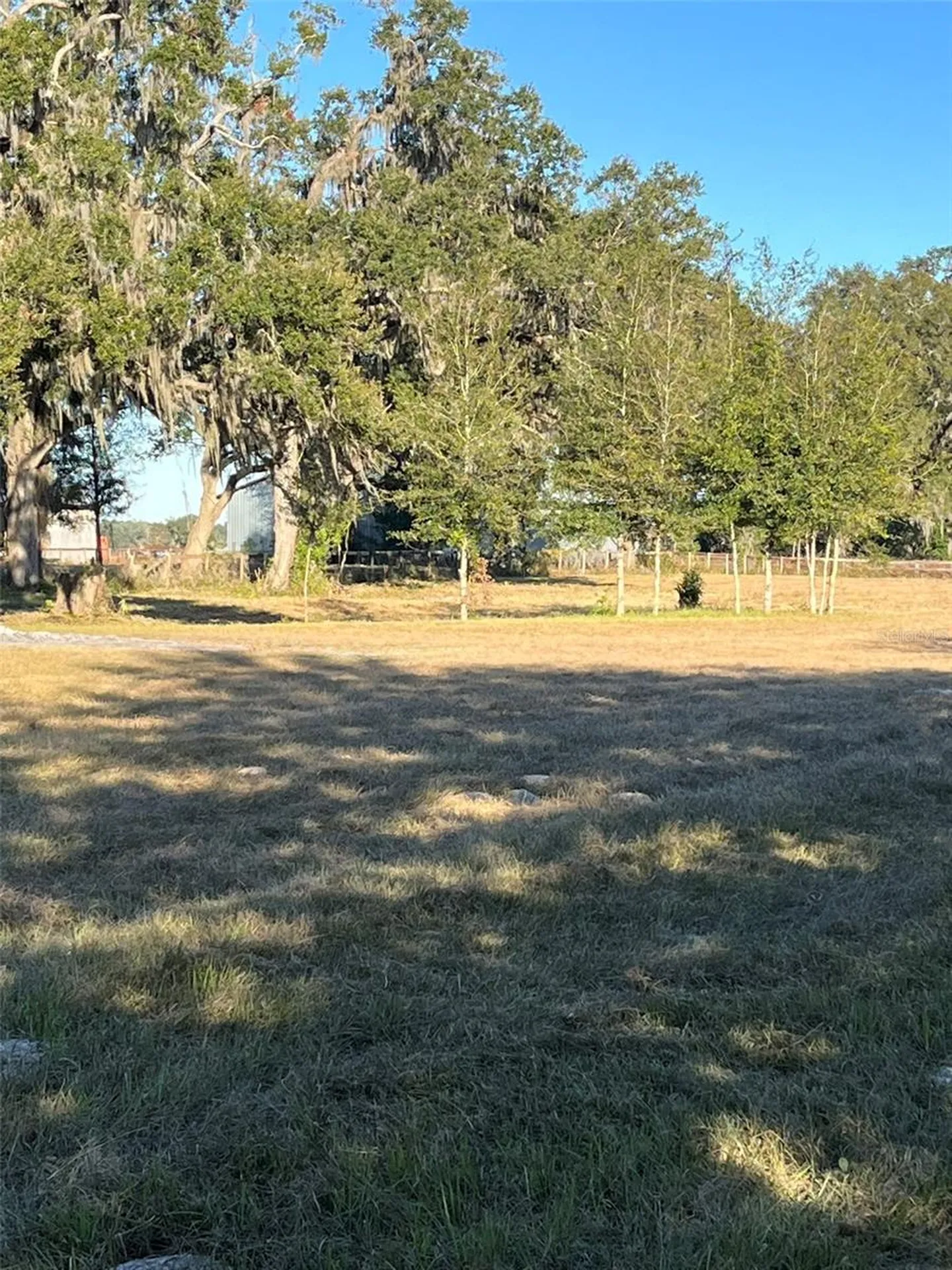 1851 SE 185 Avenue Williston FL 32696