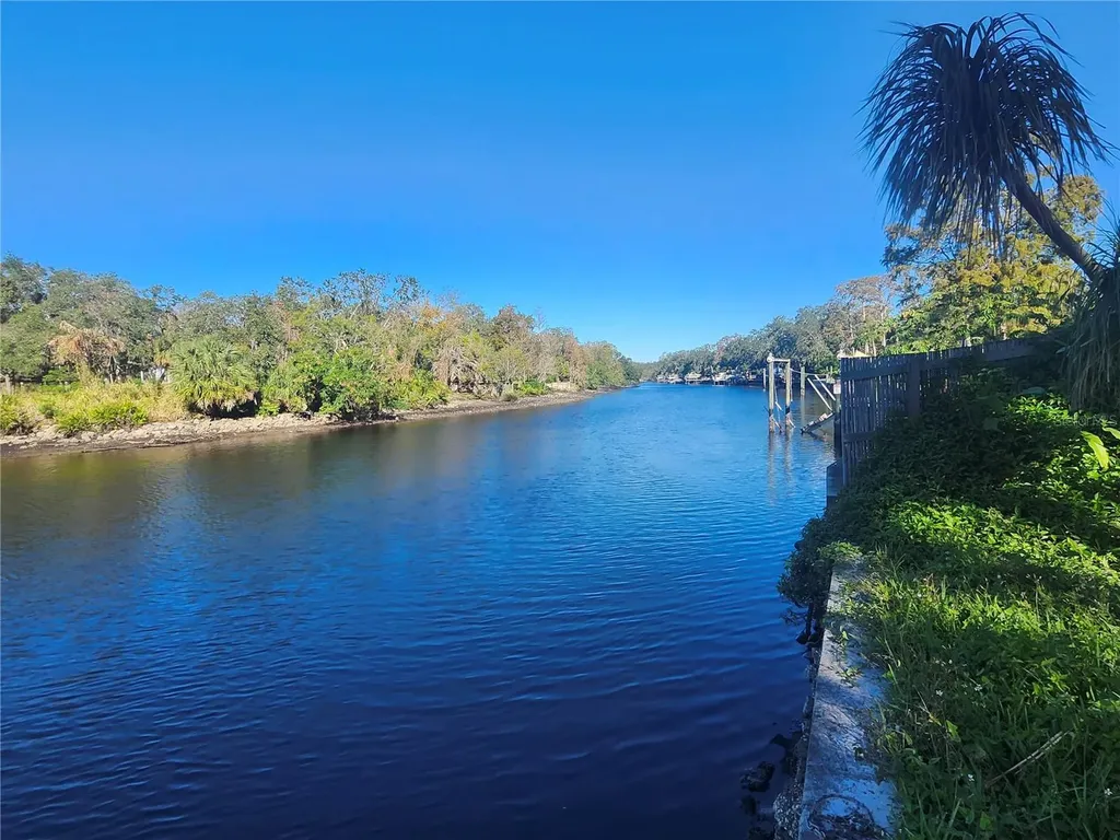 7224 N Ola Avenue Tampa FL 33604
