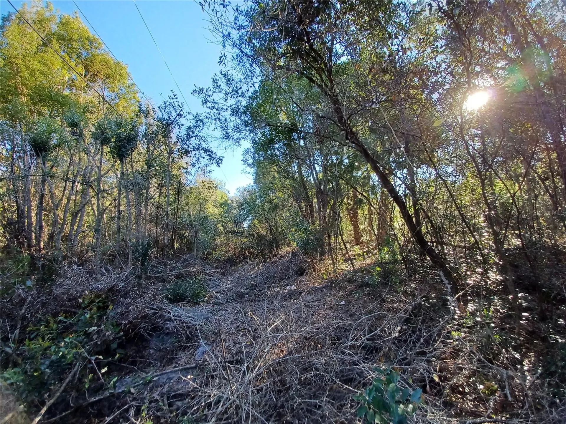 524 S Us Highway 27 - 441 Lady Lake FL 32159