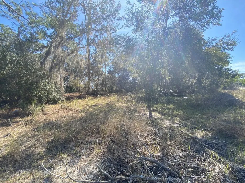 1203 Vernon Lane Kissimmee FL 34759