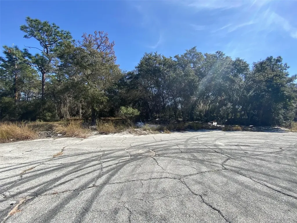 1203 Vernon Lane Kissimmee FL 34759