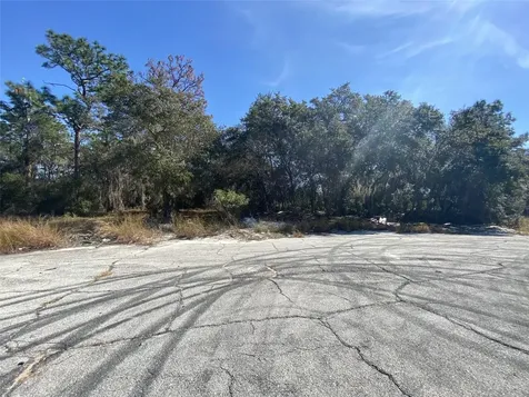 1203 Vernon Lane Kissimmee FL 34759