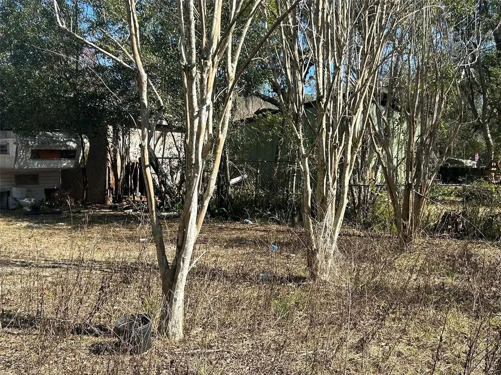 20545 SE 155th Place Umatilla FL 32784