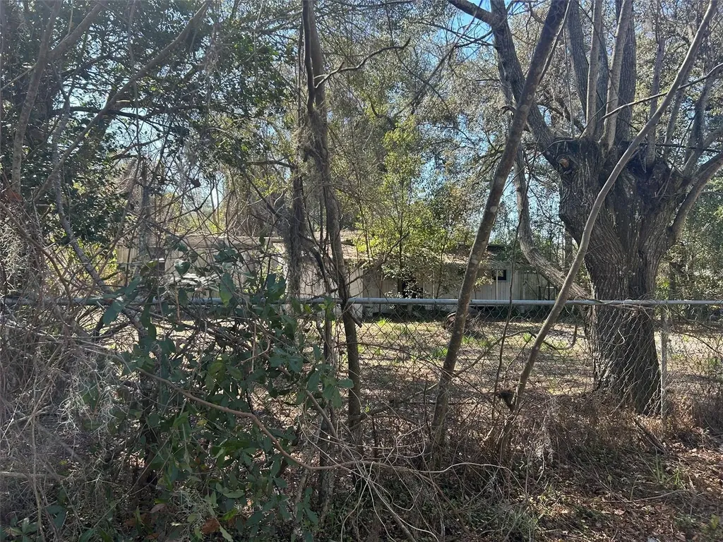 20545 SE 155th Place Umatilla FL 32784