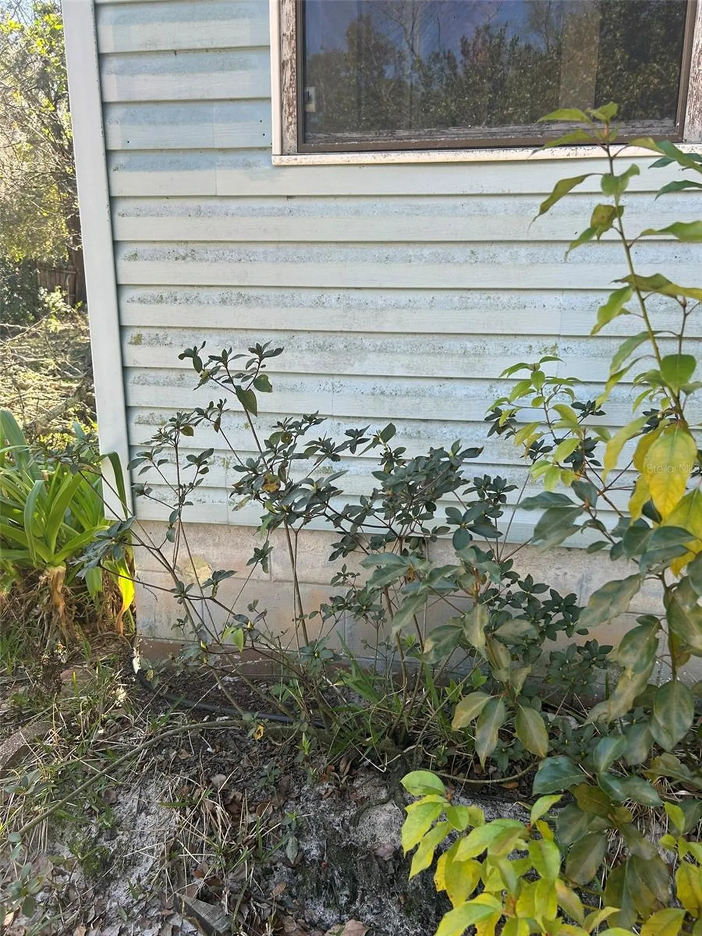 20545 SE 155th Place Umatilla FL 32784