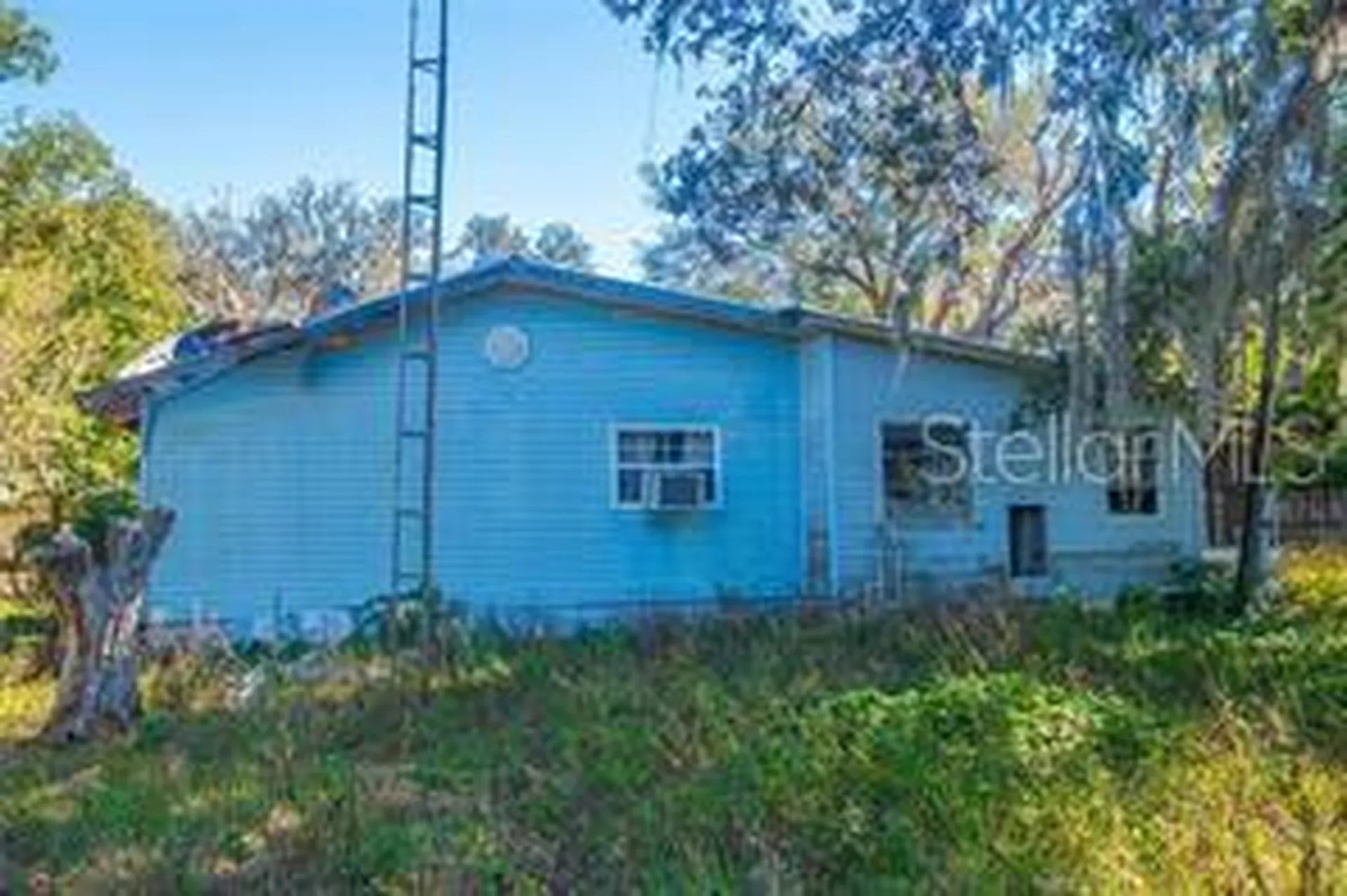 20545 SE 155th Place Umatilla FL 32784