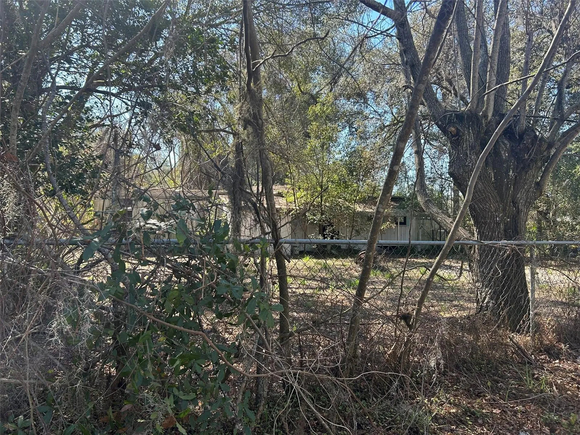 20545 SE 155th Place Umatilla FL 32784