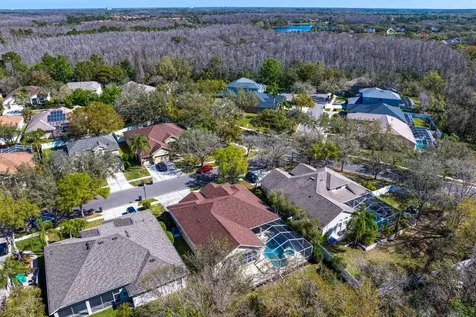 8205 Prairie Ridge Way Tampa FL 33647