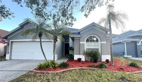 10251 Oasis Palm Drive Tampa FL 33615