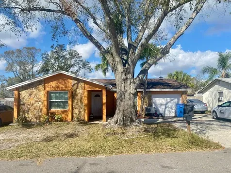 10107 Lazy Creek Court Tampa FL 33615