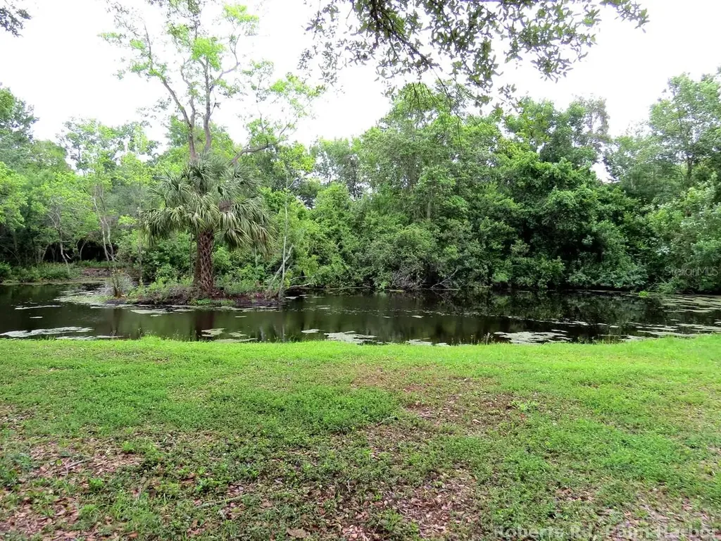 Roberts Road Palm Harbor FL 34683