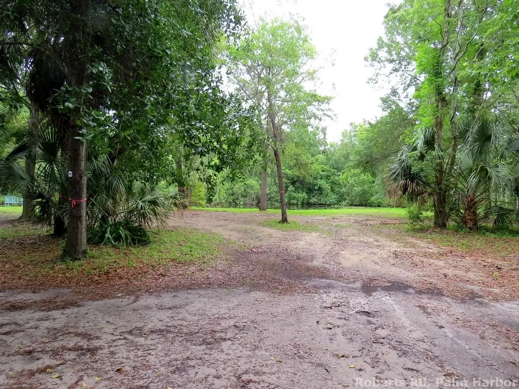 Roberts Road Palm Harbor FL 34683