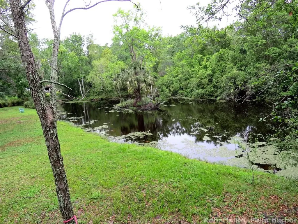Roberts Road Palm Harbor FL 34683