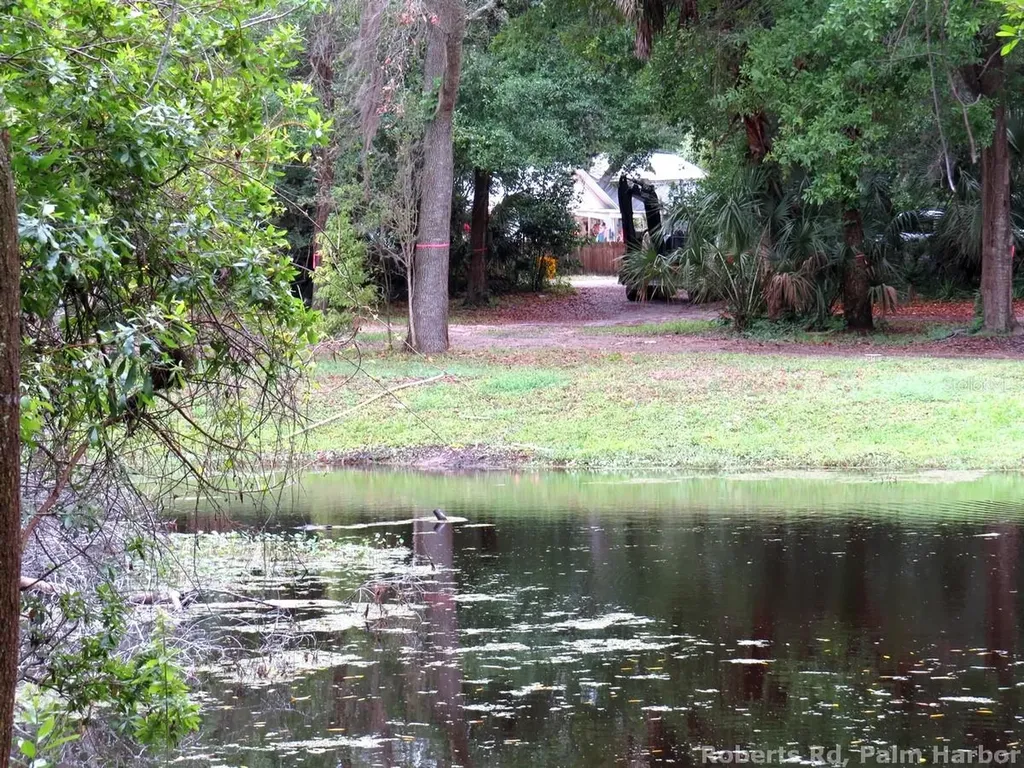 Roberts Road Palm Harbor FL 34683