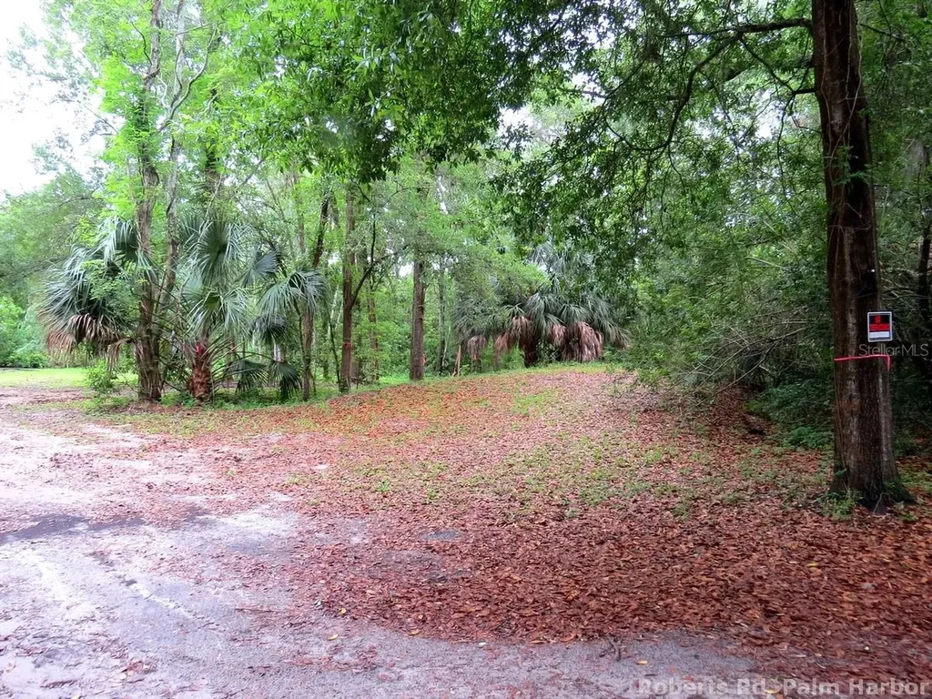 Roberts Road Palm Harbor FL 34683