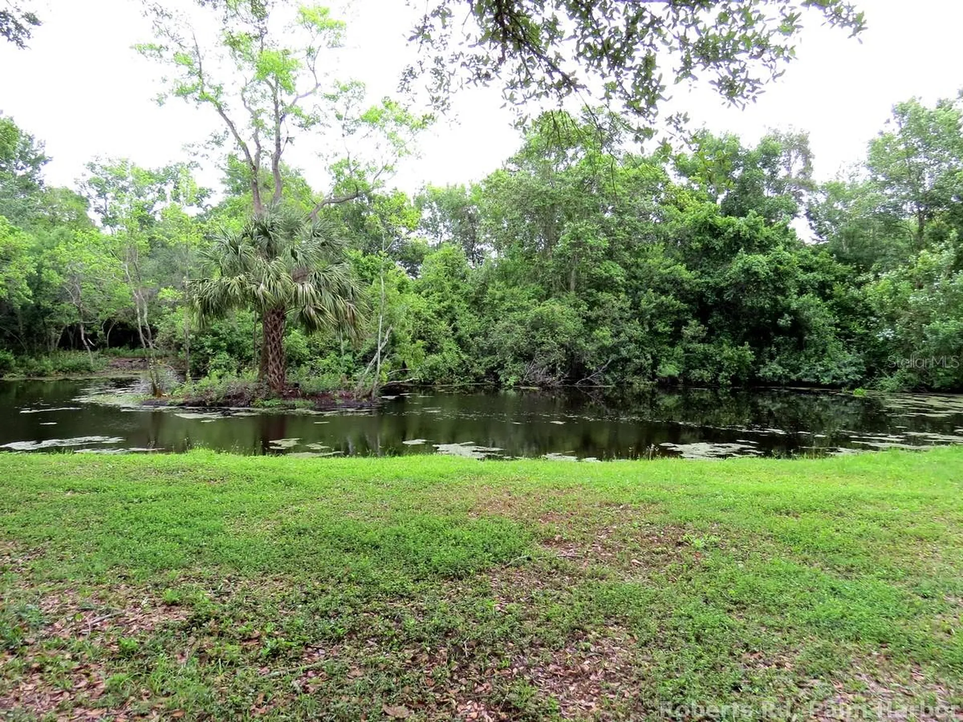 Roberts Road Palm Harbor FL 34683