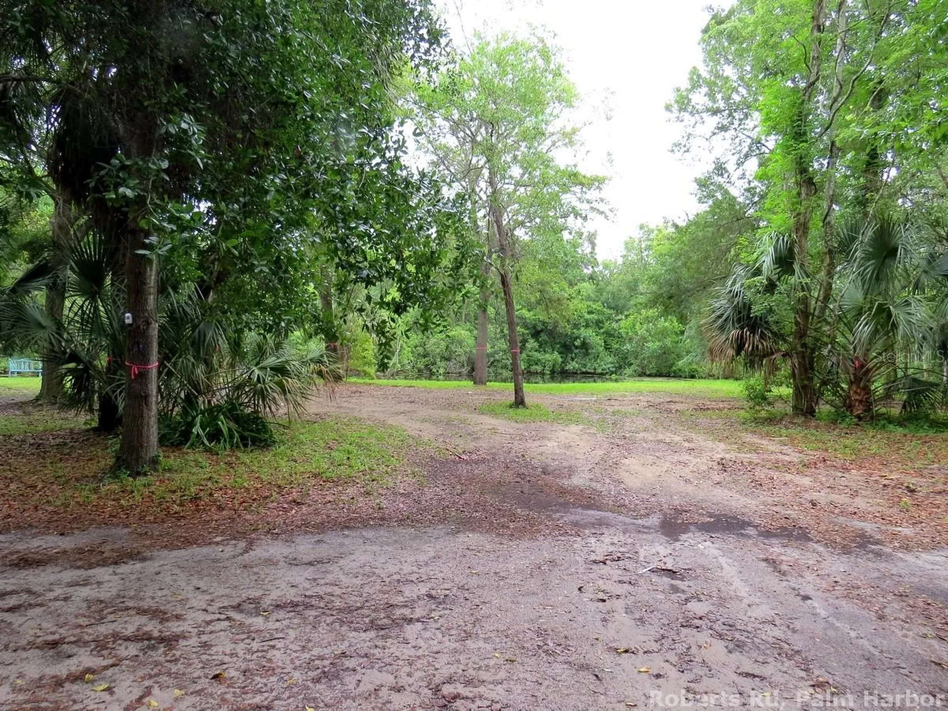 Roberts Road Palm Harbor FL 34683