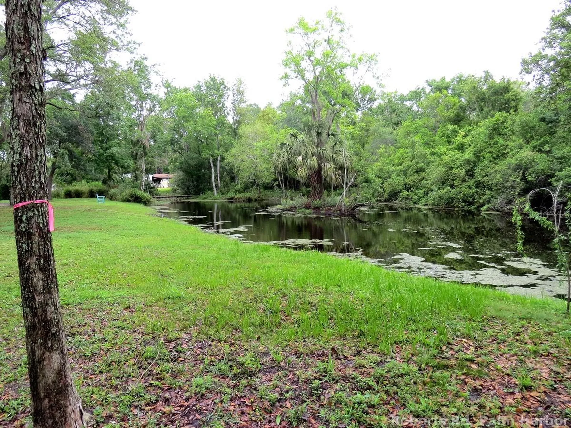 Roberts Road Palm Harbor FL 34683