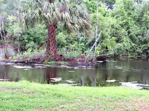 Roberts Road Palm Harbor FL 34683