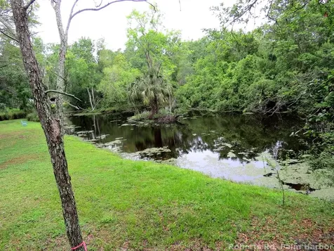Roberts Road Palm Harbor FL 34683