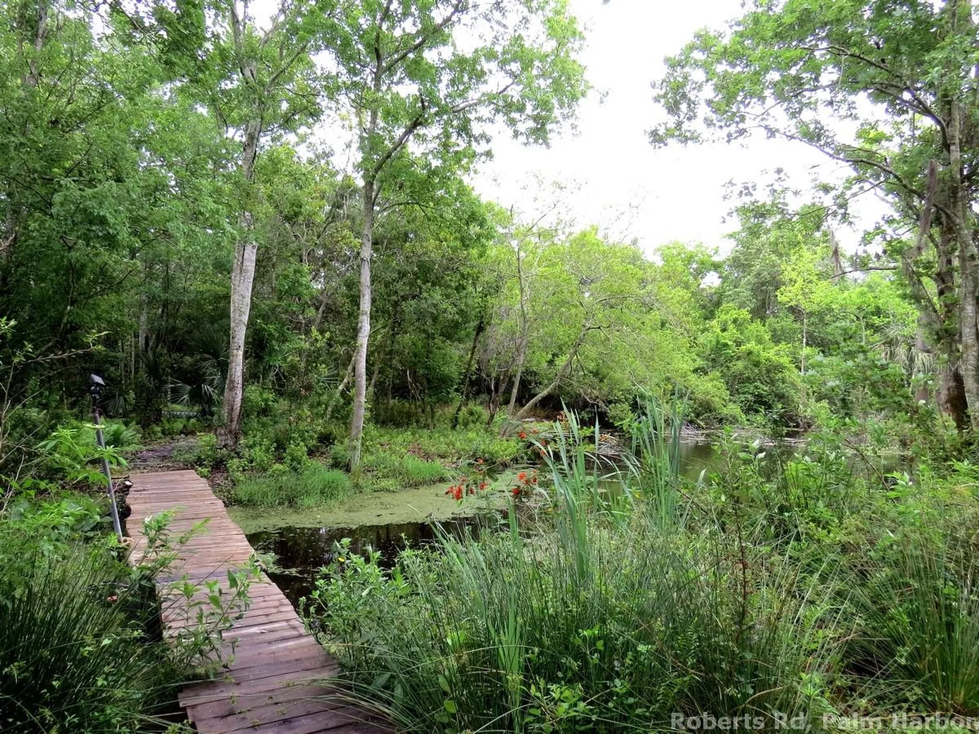 Roberts Road Palm Harbor FL 34683