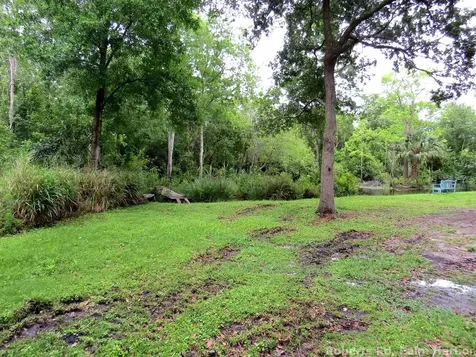 Roberts Road Palm Harbor FL 34683