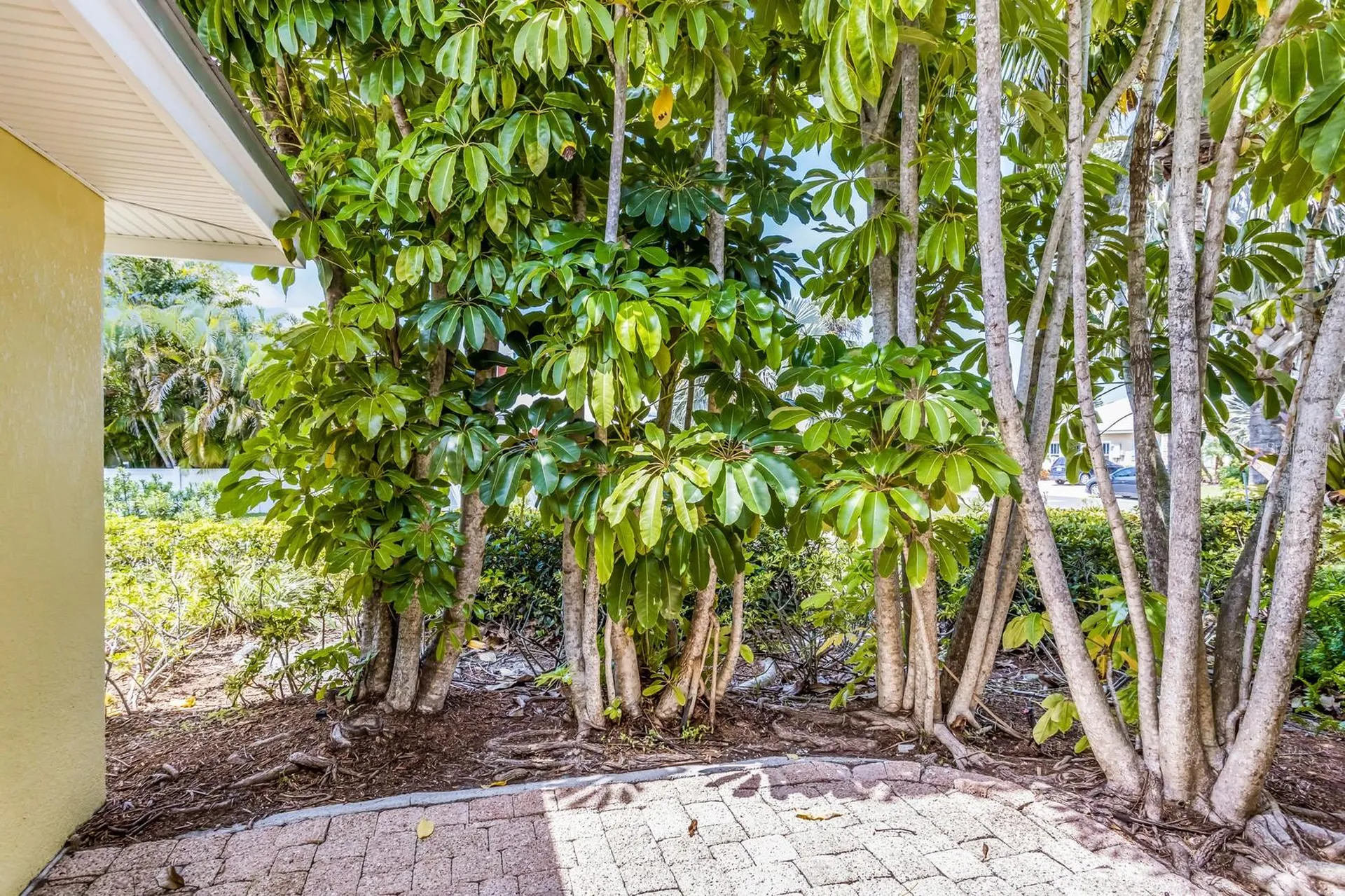 6606 Holmes Boulevard Holmes Beach FL 34217