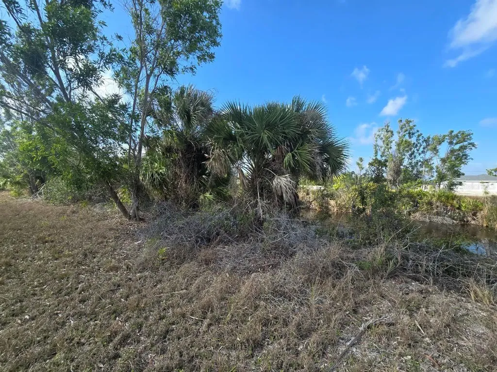 3813 NW 46th Lane Cape Coral FL 33993