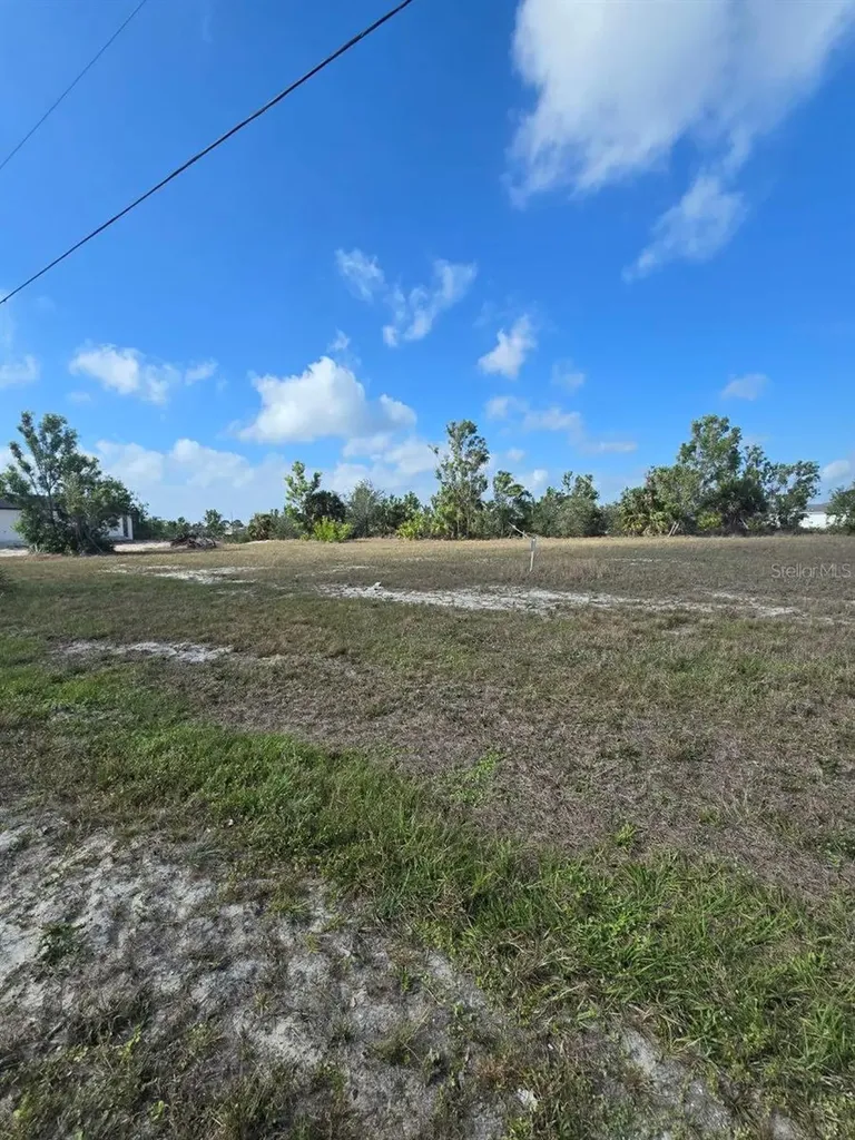 3813 NW 46th Lane Cape Coral FL 33993