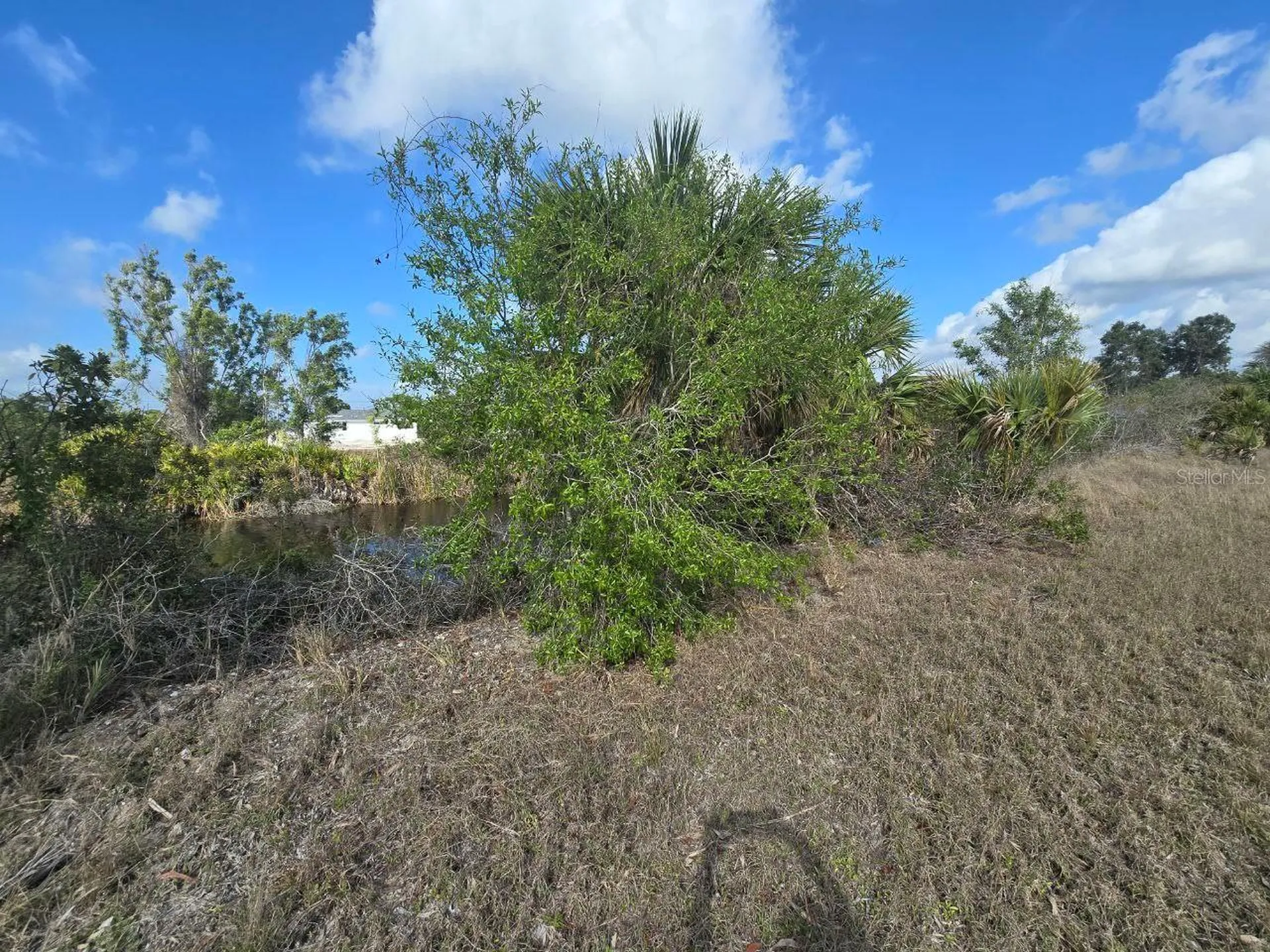 3813 NW 46th Lane Cape Coral FL 33993