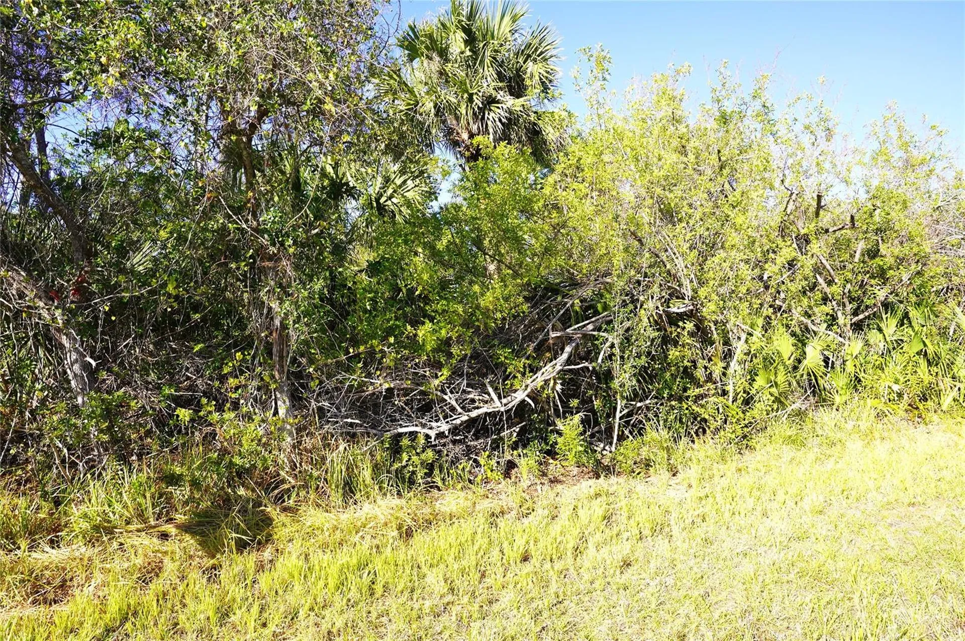 1100 March Drive Port Charlotte FL 33953