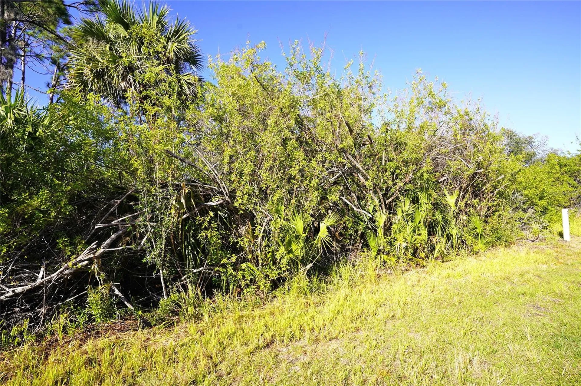 1100 March Drive Port Charlotte FL 33953