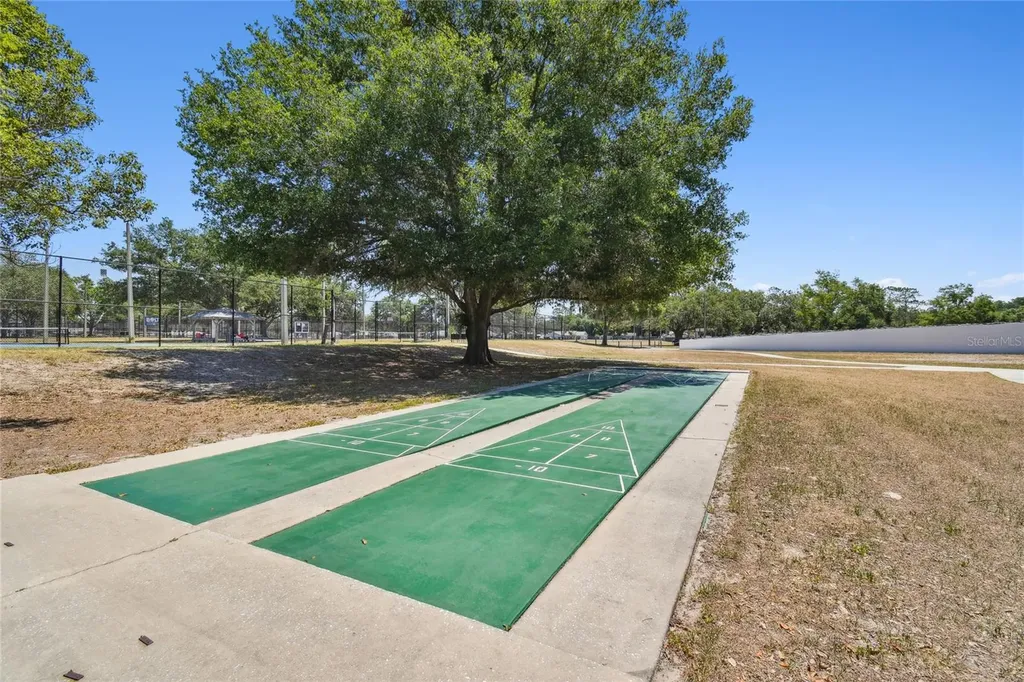23227 Club Villas Drive Land O Lakes FL 34639