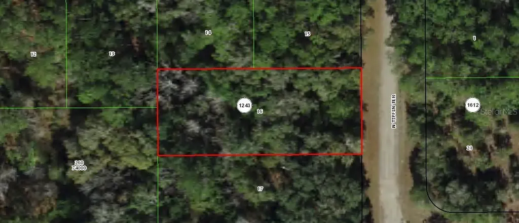 9188 N Tiffin Terrace Dunnellon FL 34434