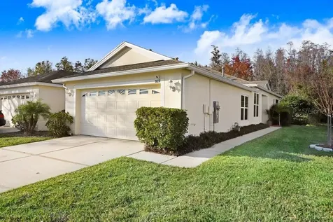 31031 Whitlock Drive Wesley Chapel FL 33543