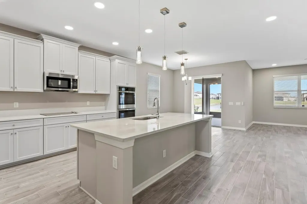 32346 Sapna Chime Drive Wesley Chapel FL 33545