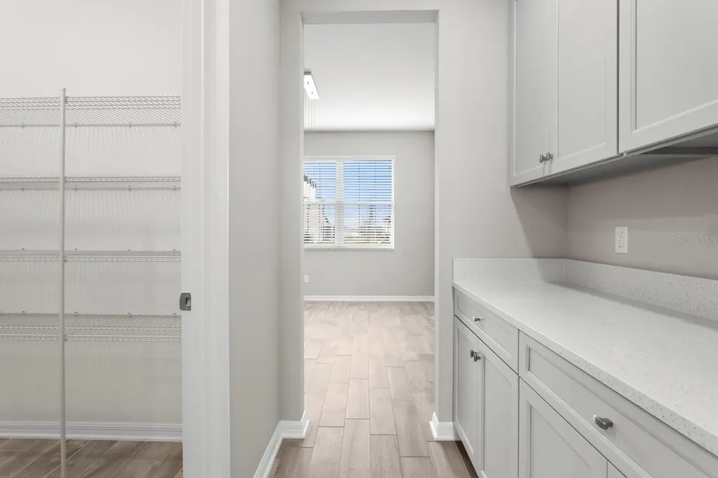 32346 Sapna Chime Drive Wesley Chapel FL 33545