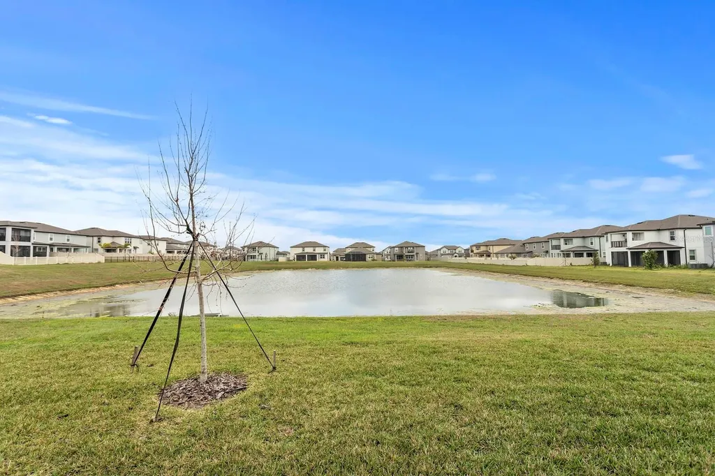32346 Sapna Chime Drive Wesley Chapel FL 33545