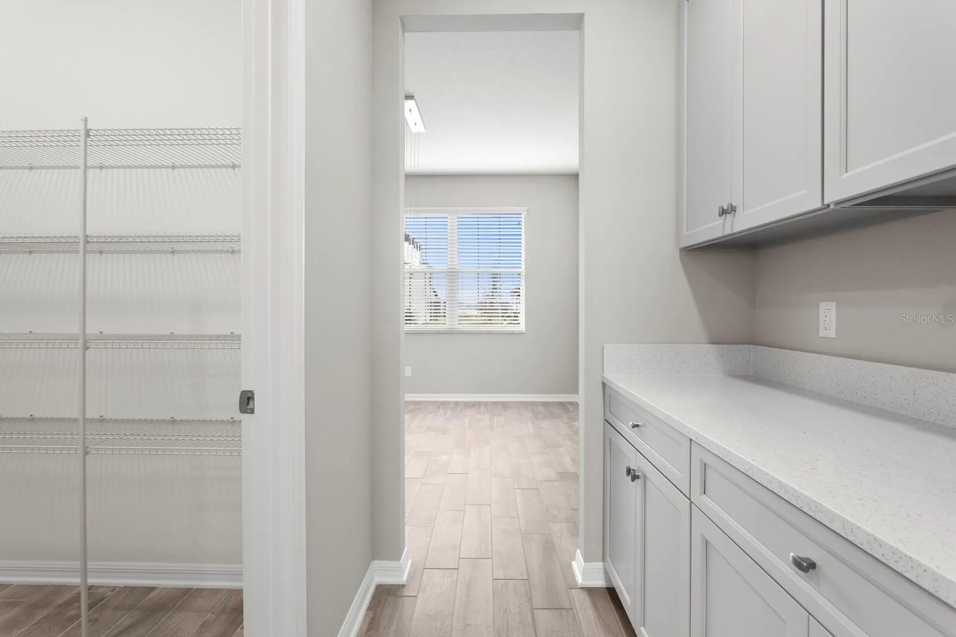 32346 Sapna Chime Drive Wesley Chapel FL 33545