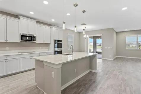 32346 Sapna Chime Drive Wesley Chapel FL 33545