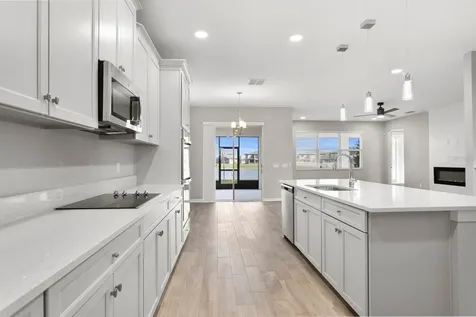 32346 Sapna Chime Drive Wesley Chapel FL 33545