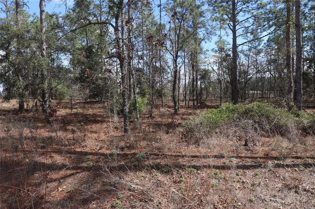 2251 NW Buena Vista Road Dunnellon FL 34431