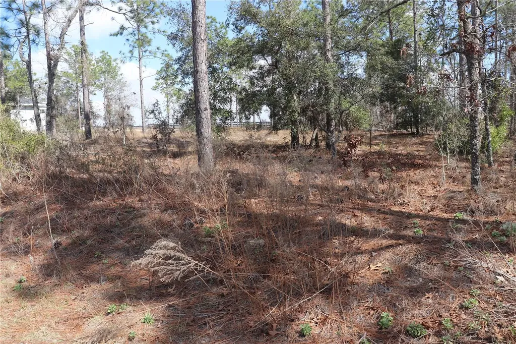 2251 NW Buena Vista Road Dunnellon FL 34431